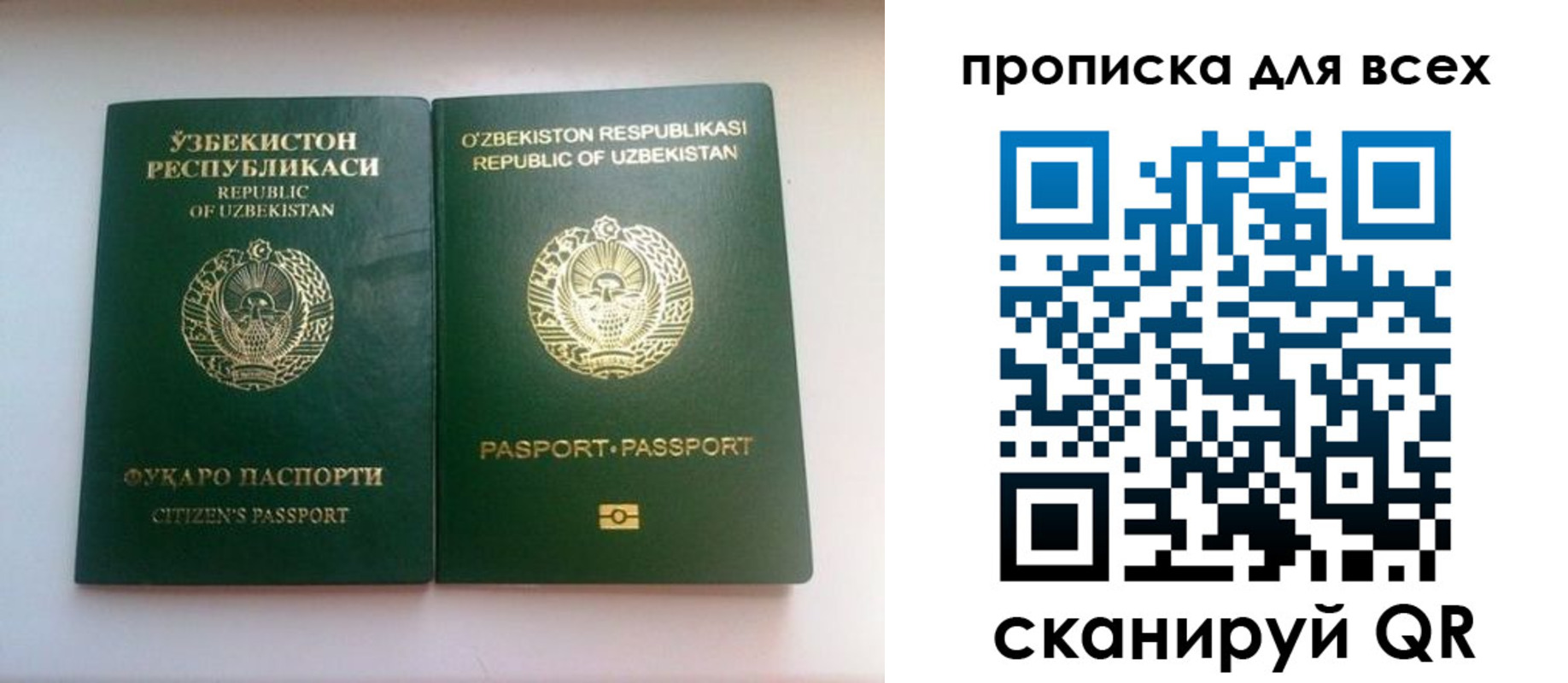 прописка для школы в Киренске